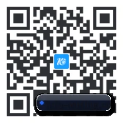 系统版 iOS 二维码
